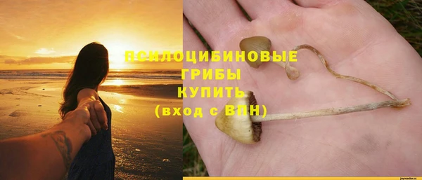 ПСИЛОЦИБИНОВЫЕ ГРИБЫ Верея